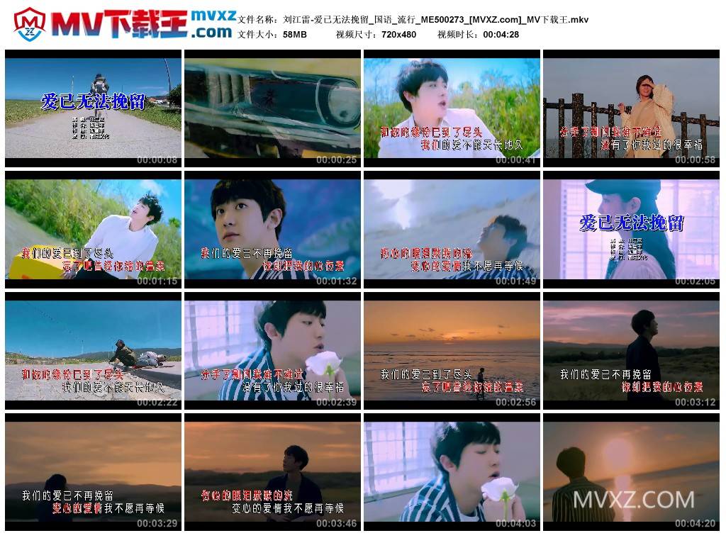 刘江雷-爱已无法挽留_国语_流行_ME500273